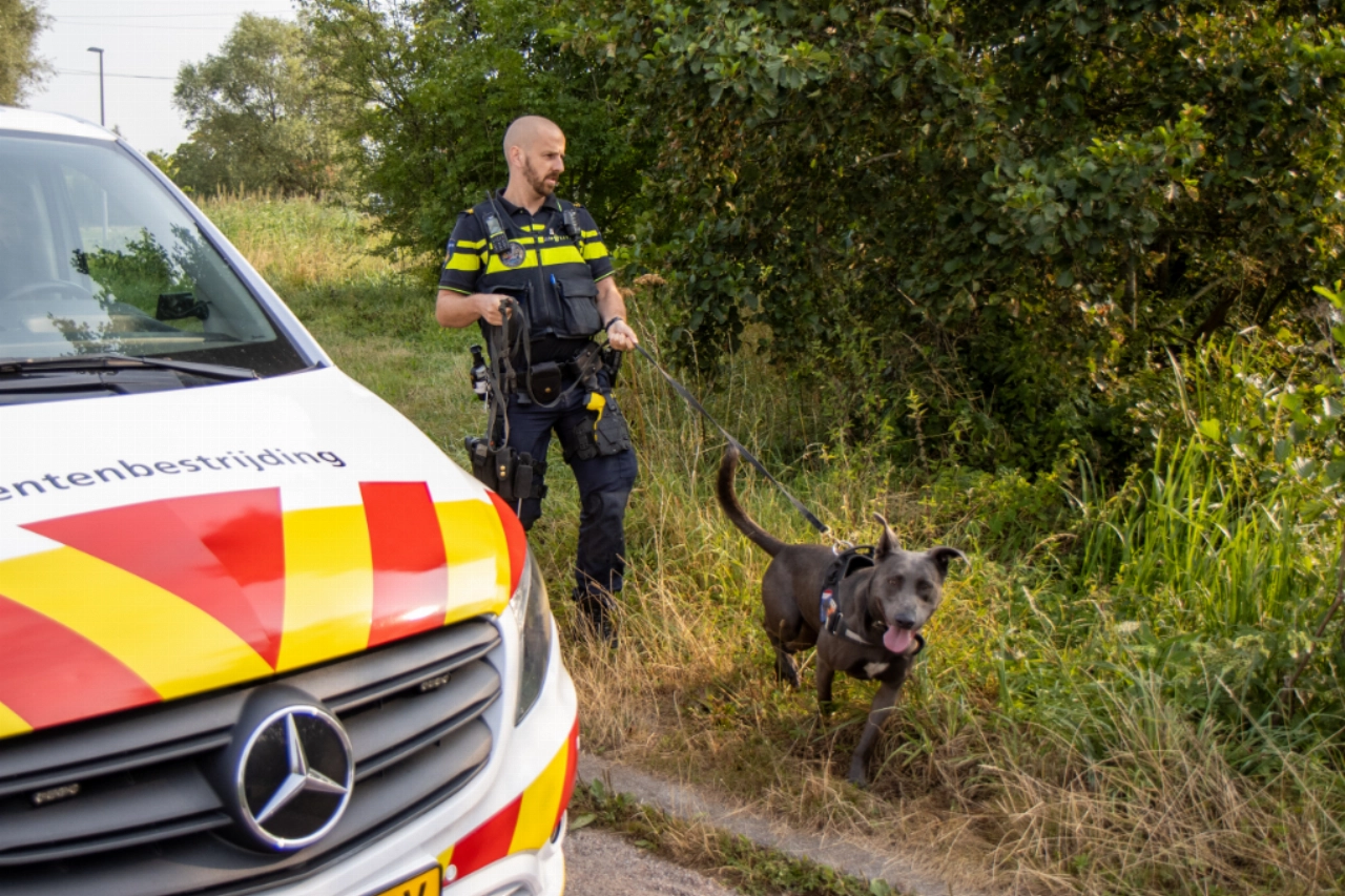 Koperdief op het spoor