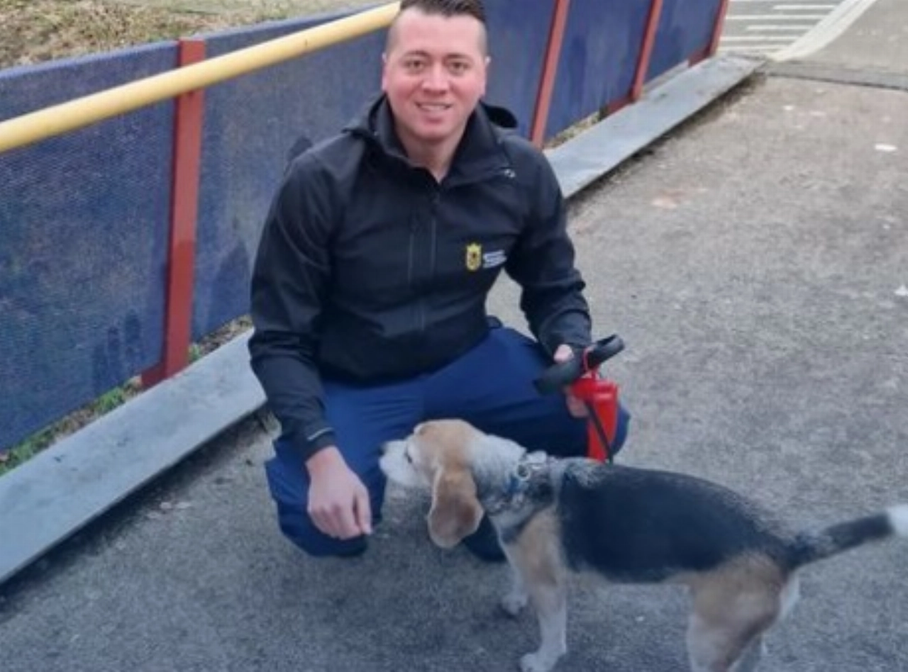 Zoekactie voor ontsnapte hond