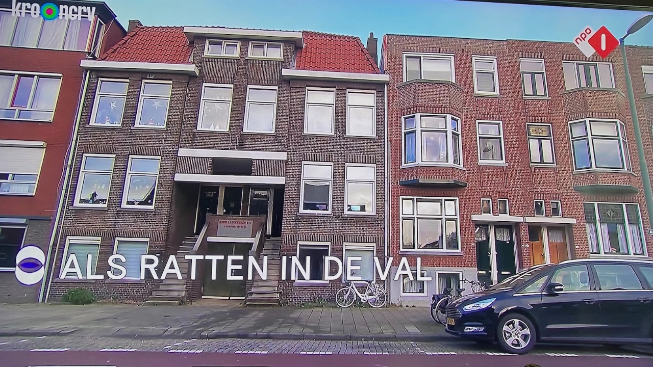 Schiedamse onmin tussen huisbaas en huurders bij Rijdende Rechter