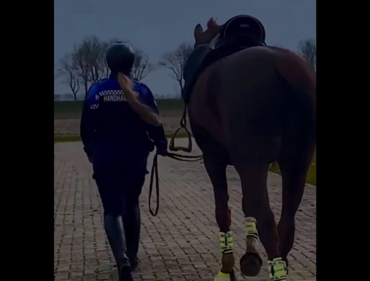 Nieuw: BOA’s te paard in Schiedam