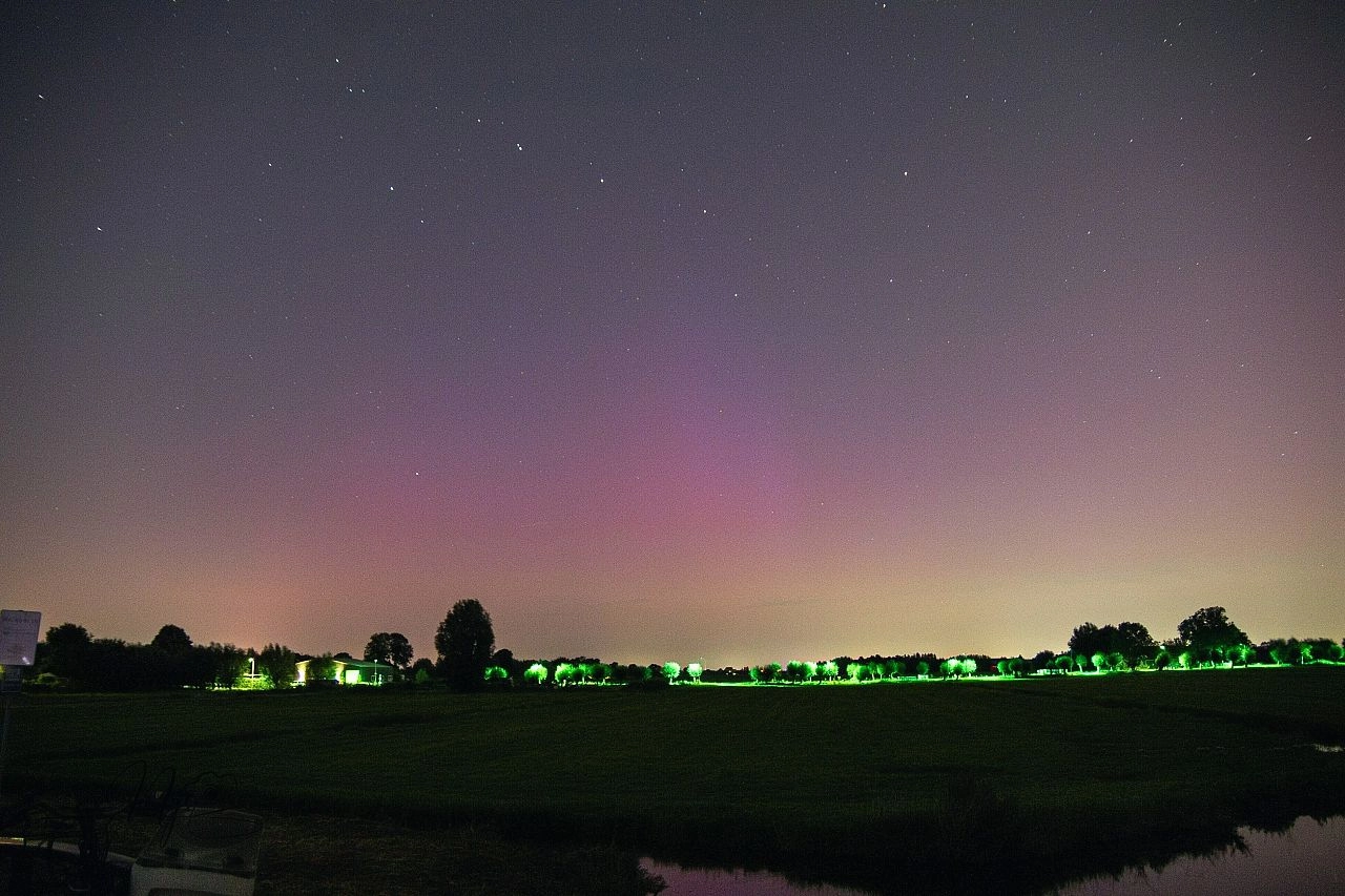 De best gelezen artikelen van augustus