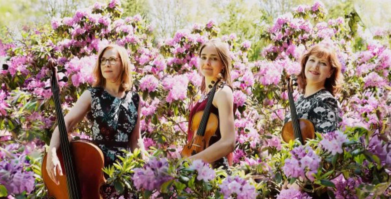 Veel muziek in Schiedam