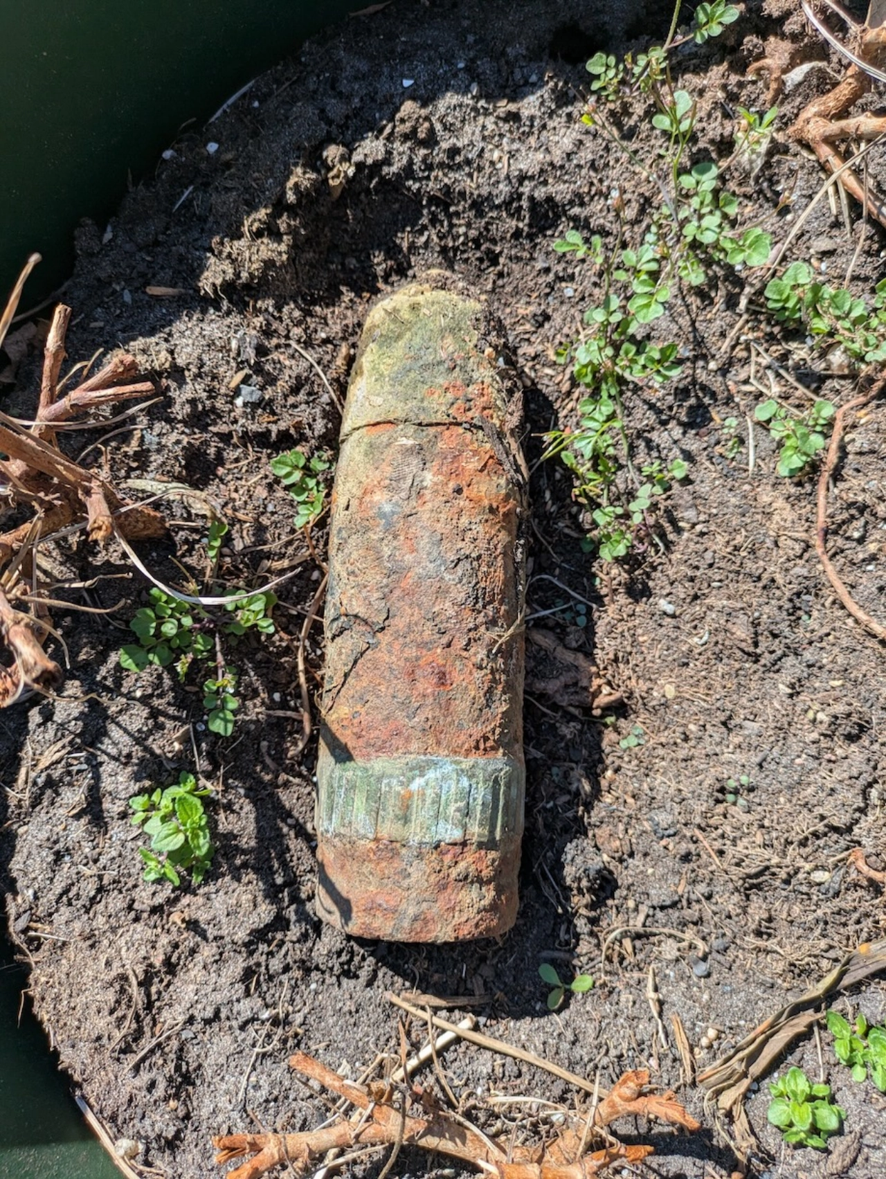 Bob vindt weer eens wat...