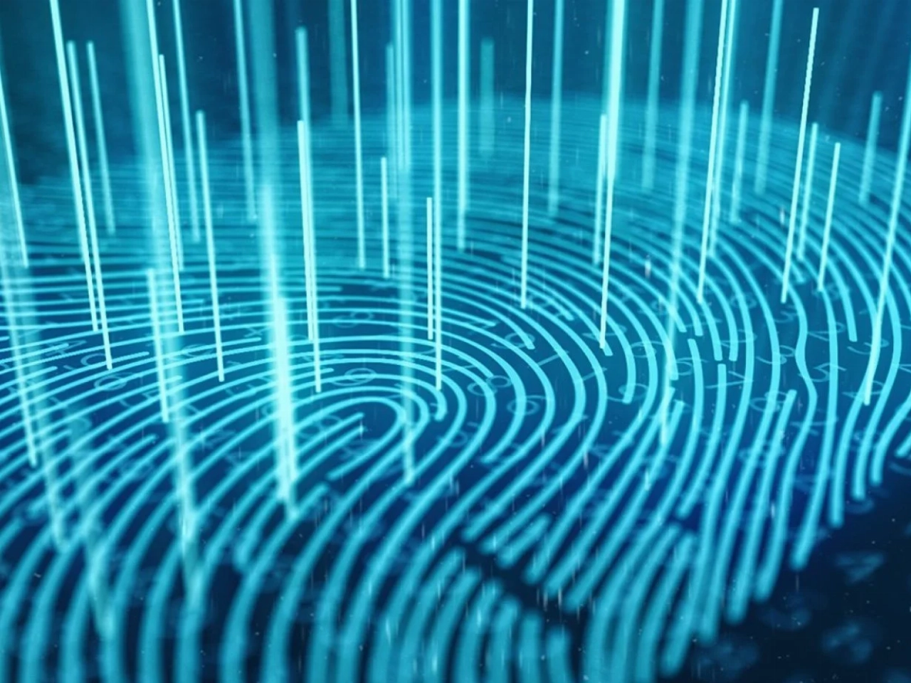 Wat 'n Schiedammer moet weten van online consumentenveiligheid