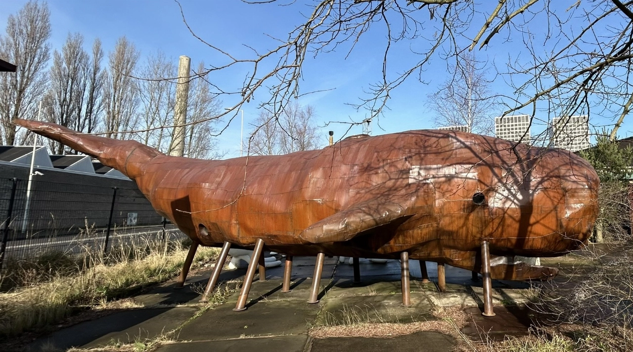 Kunstenaars over het stadsjubileum, met walvis als blikvanger