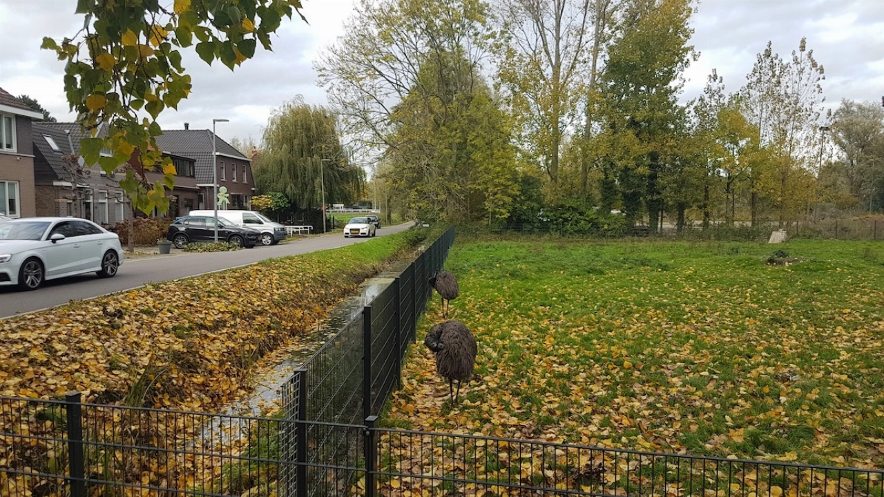 Snelheid verplicht omlaag in Kethel