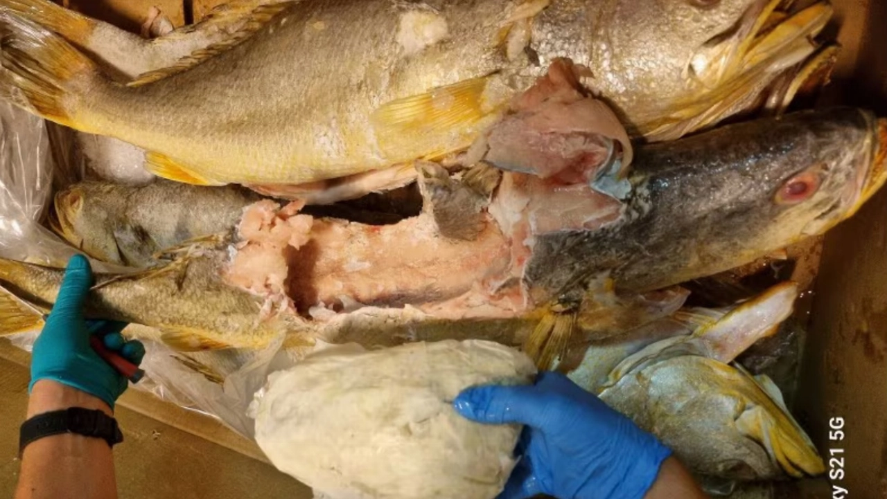 Rotte vis leidt tot arrestatie Schiedammer