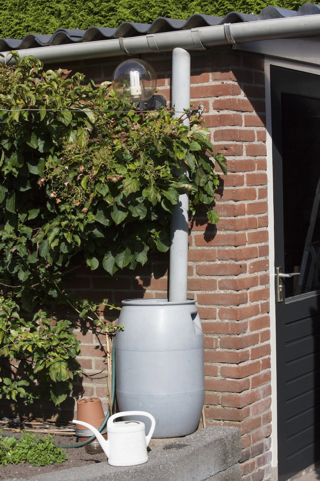 Subsidie voor regenton: vang regenwater op en bespaar!