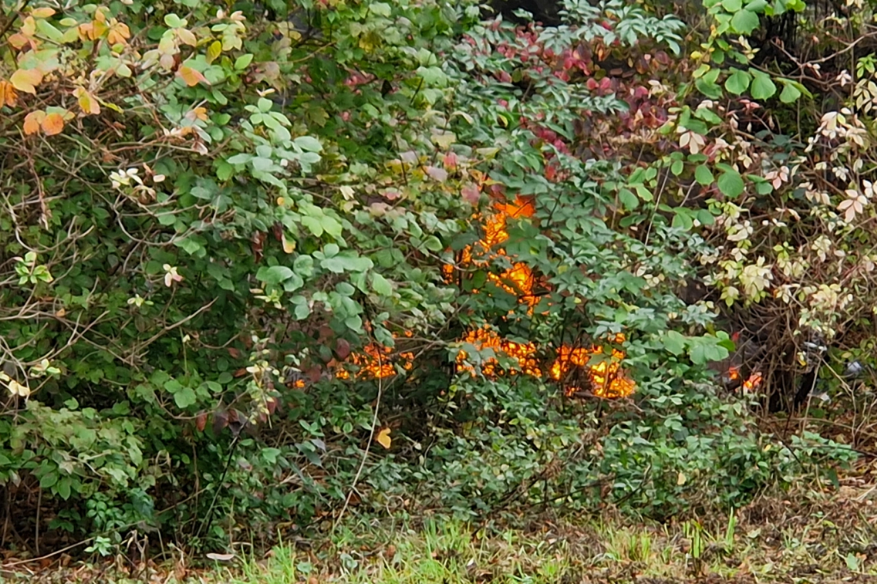 Onderkomen zwerver in de as gelegd