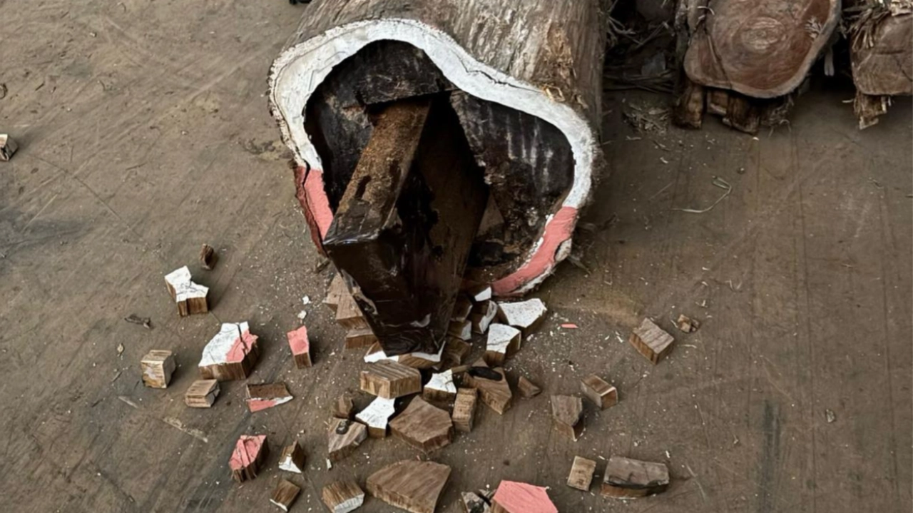 Drie Schiedamse verdachten drugssmokkel op vrije voeten