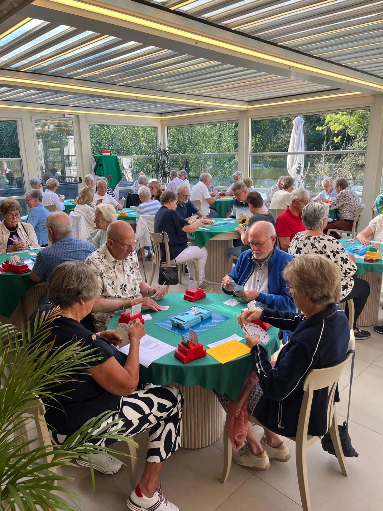 Bridgeclub De Werf beleeft jubileum met bijzonder spel