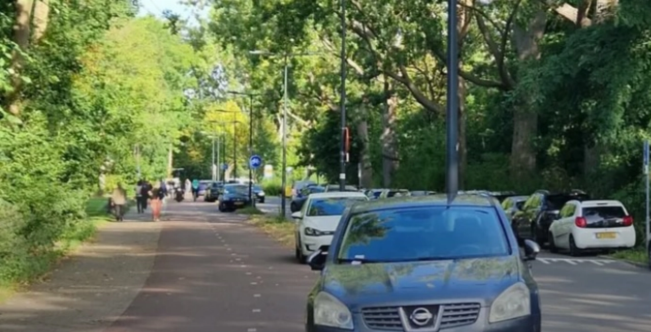 Bonnenregen in Beatrixpark
