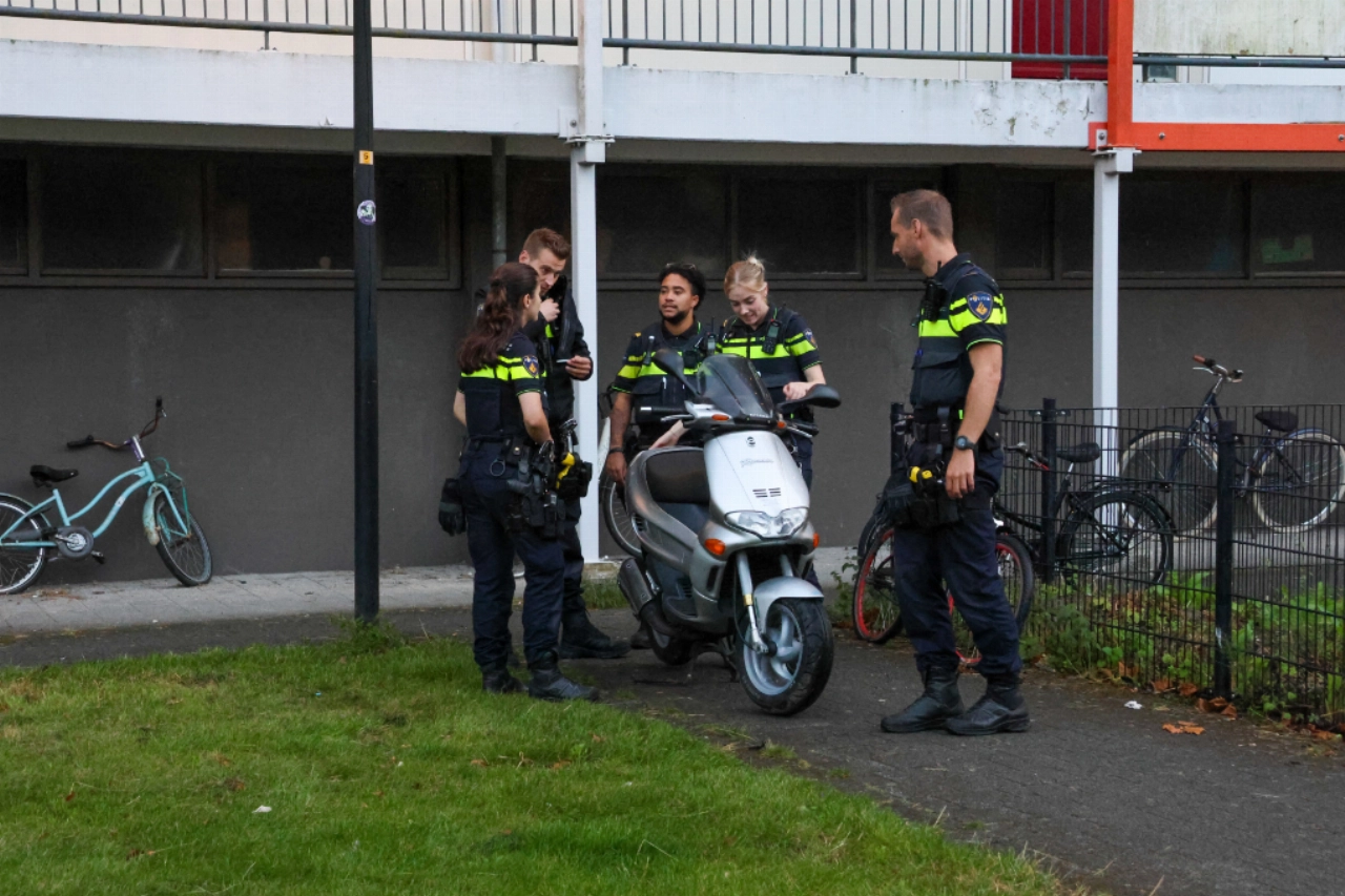 Klopjacht na achtervolging