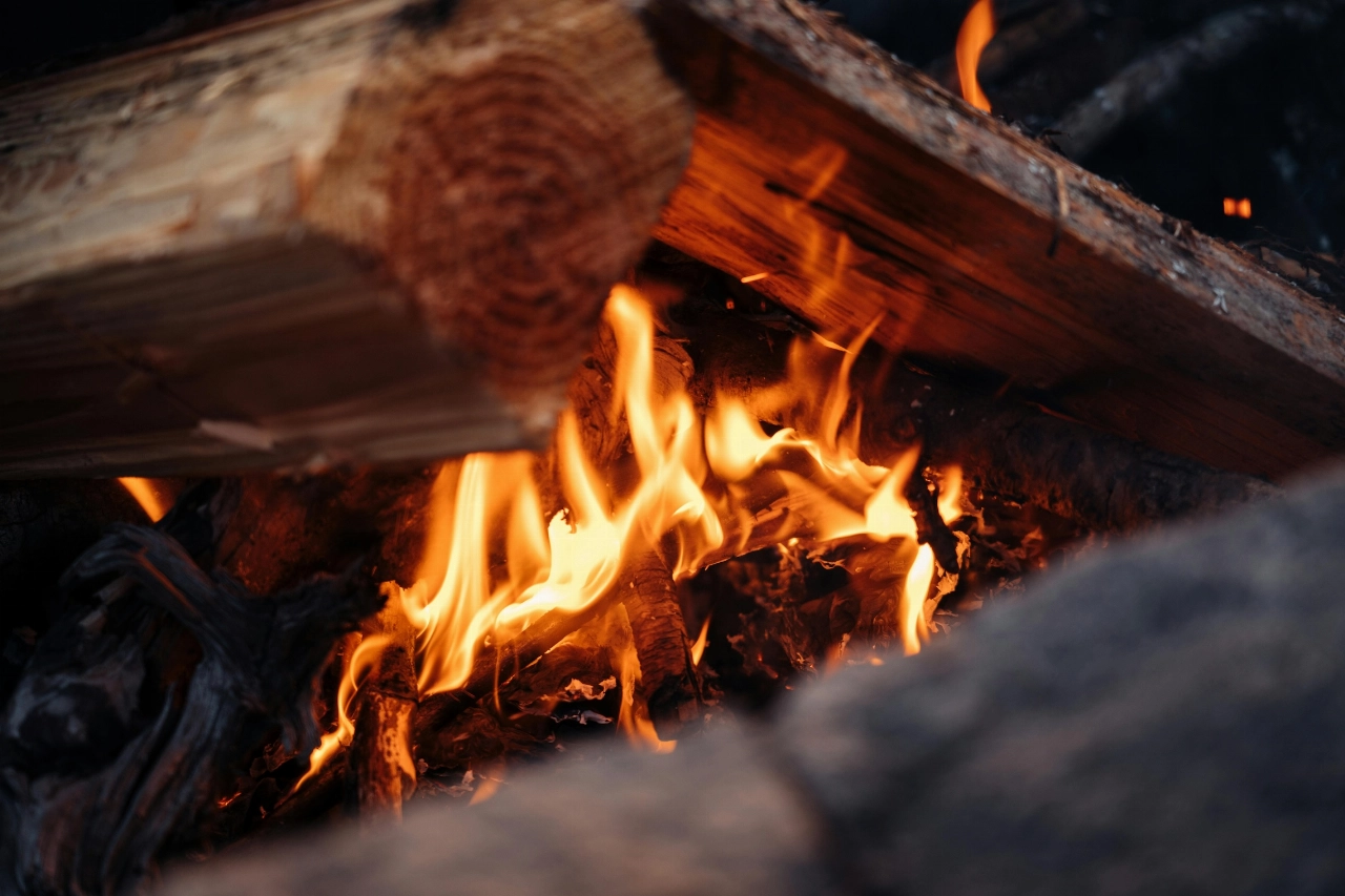 Zo geniet je het beste van je tuin in Schiedam