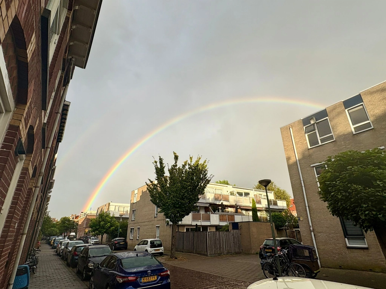 Iedere week vijf gedichten op het raam van de Wolf