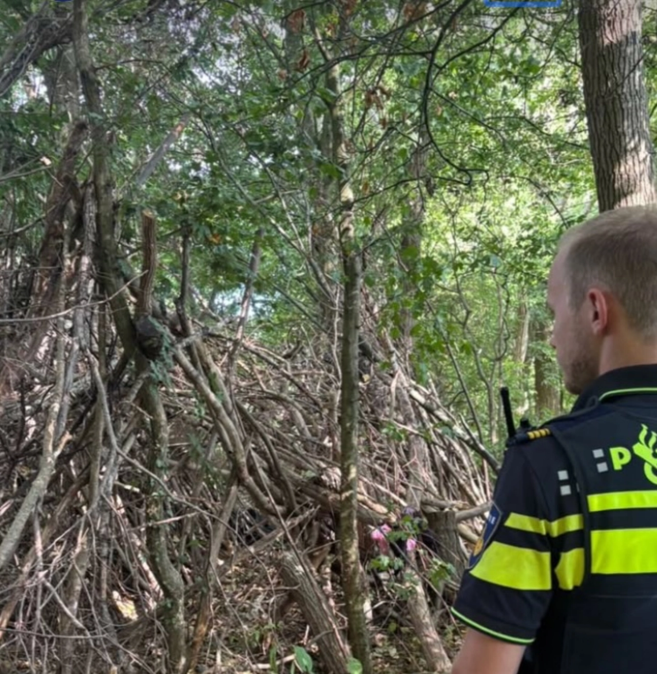 Schiedammers maken elkaar het leven zuur, gisteren en vannacht