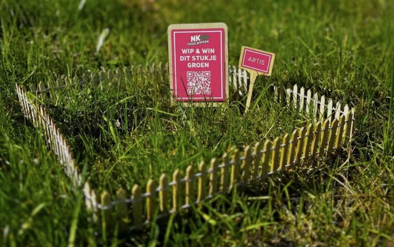 'Heilig' gras kan ook in een Schiedamse tuin komen