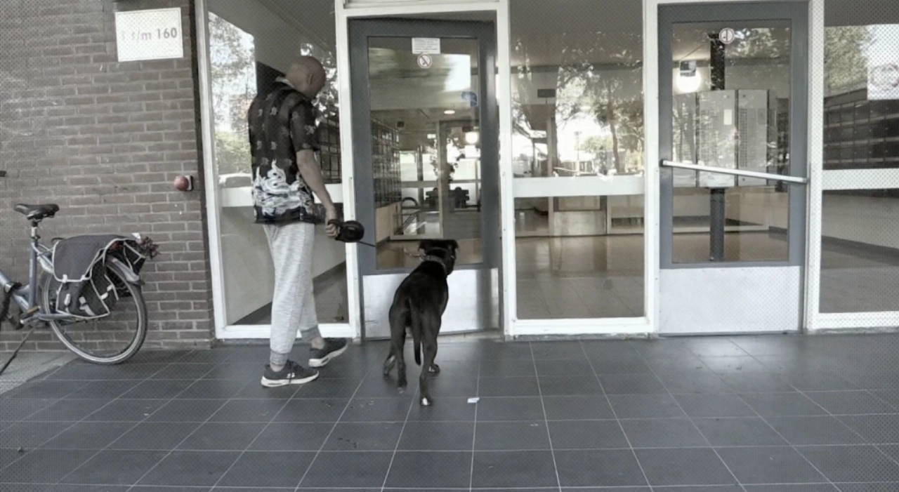 Mr. Frank Visser kijkt hoe het verder ging in Schiedam