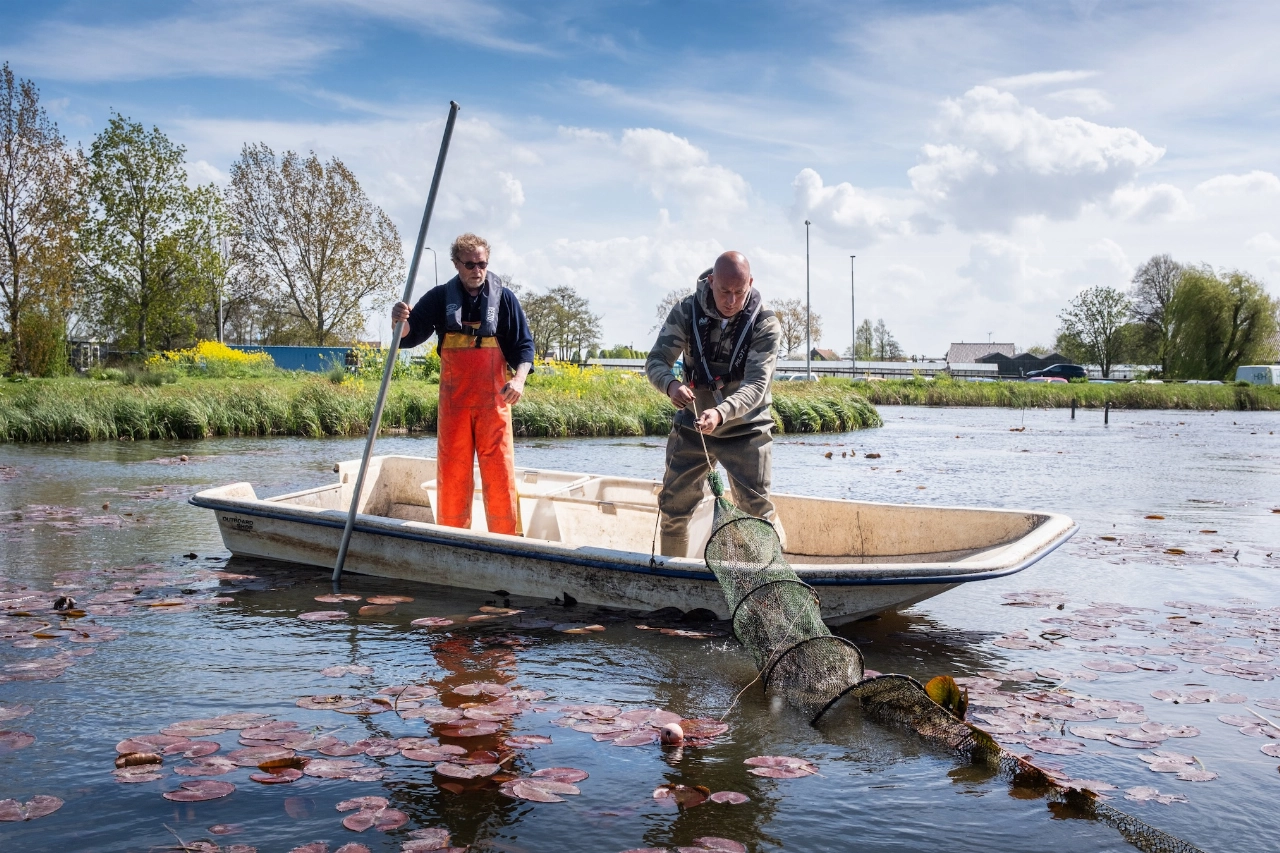 Jachtseizoen op rivierkreeften is begonnen