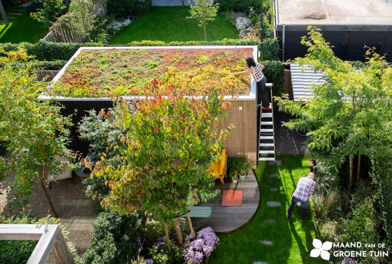De juiste planten voor een gezonde tuin