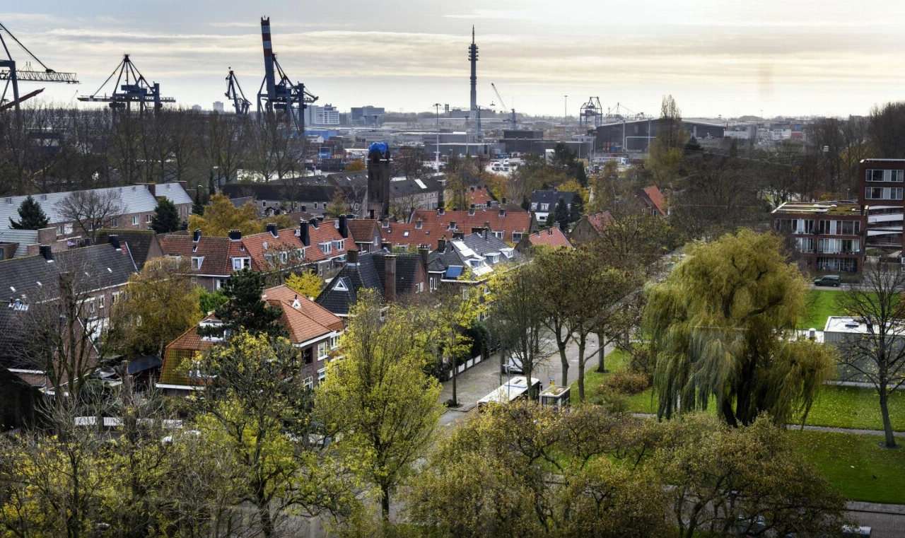 DCMR en provincie: 'Actie nodig tegen vliegen Heijplaat'