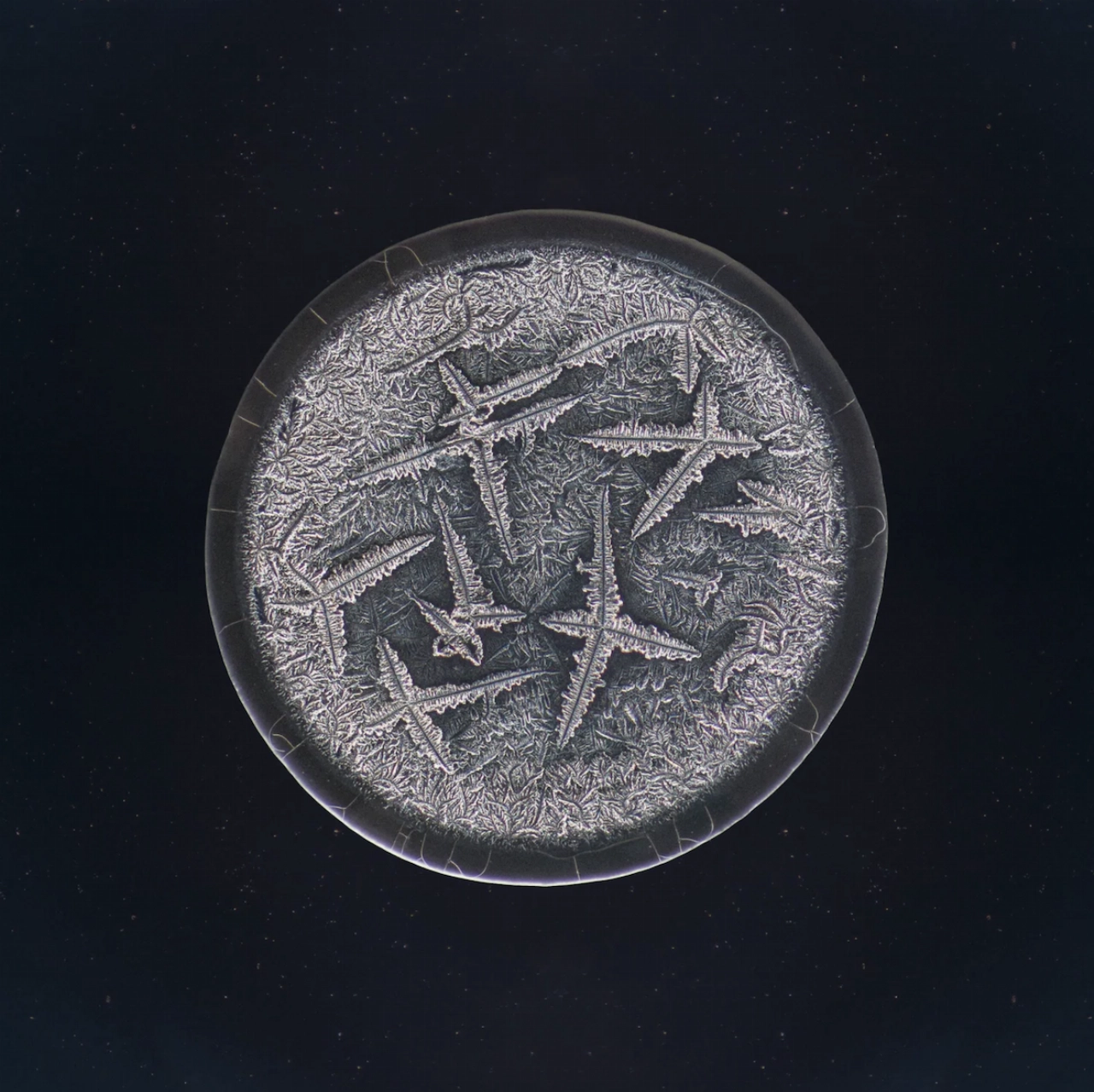 Tranen in het Schreiershuisje