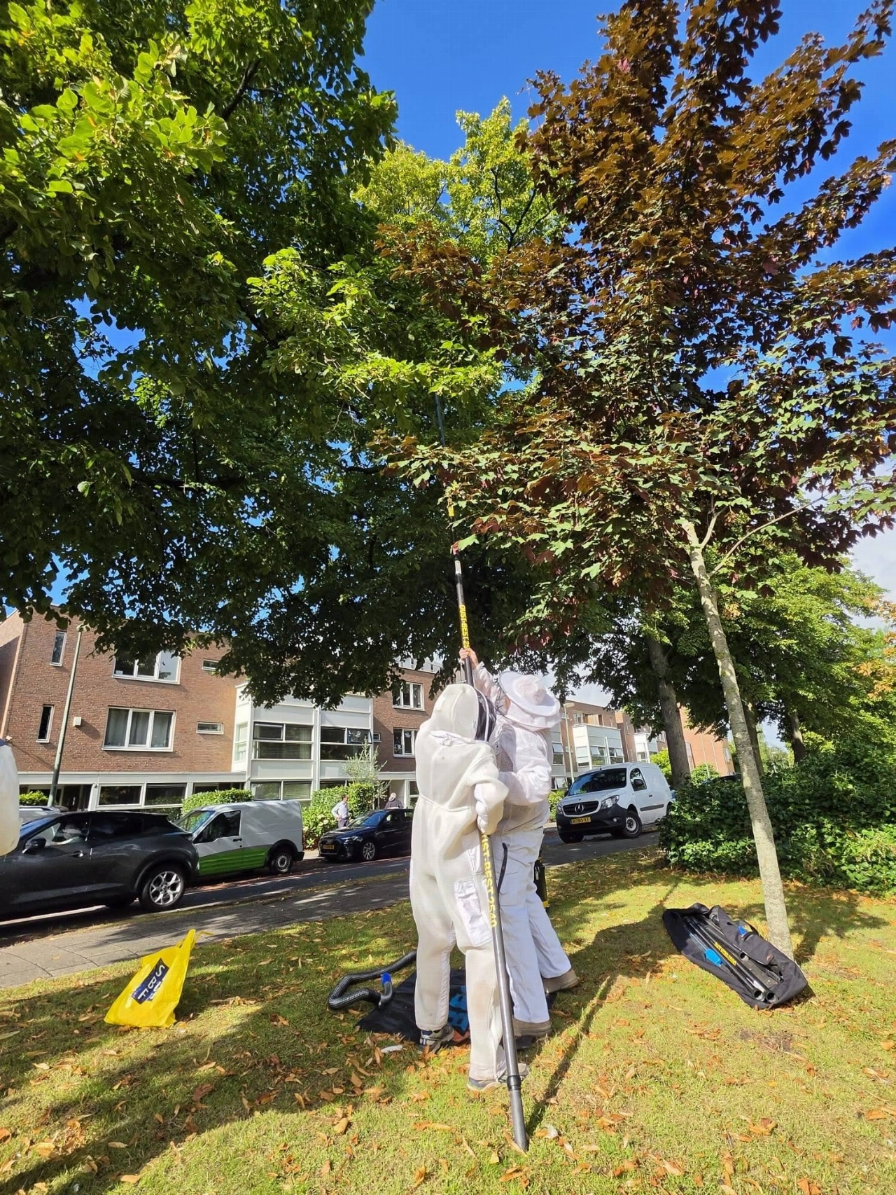 Twee hoornaarnesten verwijderd