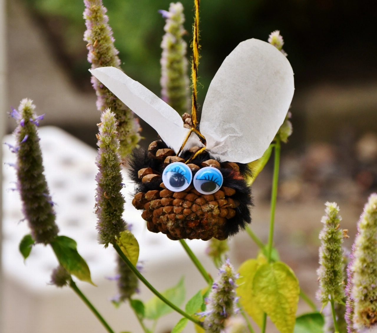 Bee our guest bij de Groene Raat