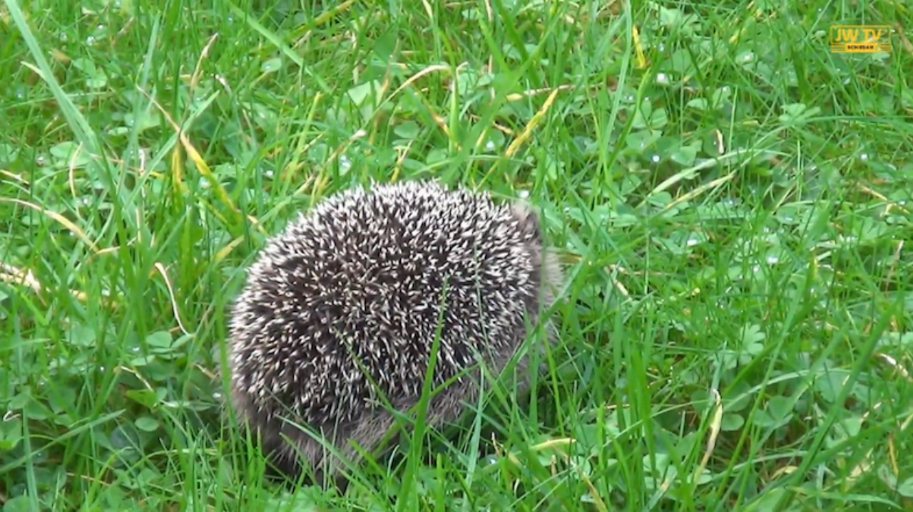 Leren over de natuur - en beleven!