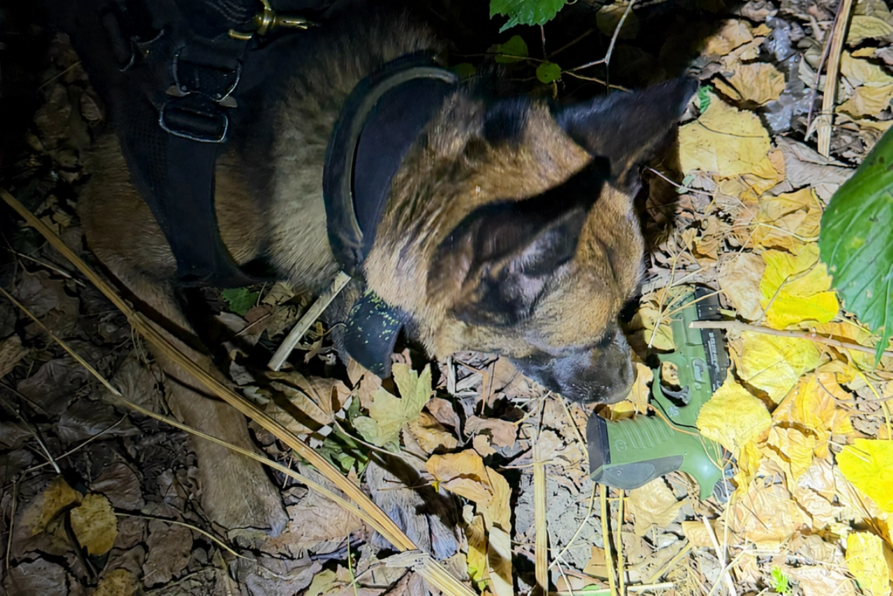 Politiehond Mac vindt weggegooid vuurwapen in Beatrixpark