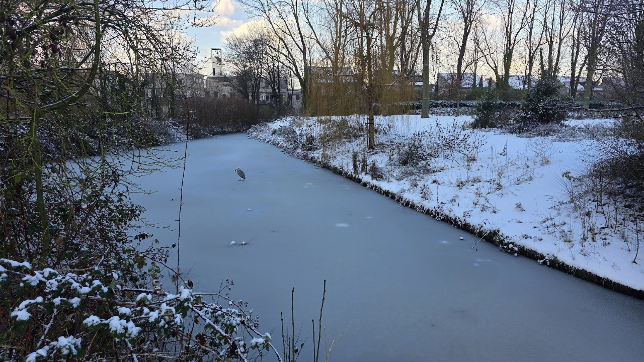 Schiedam mooi in de sneeuw (4)