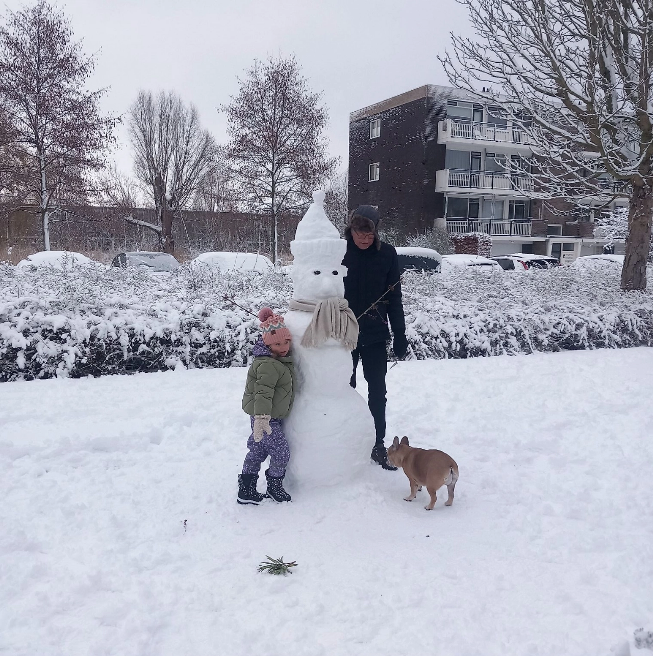 Stad voor sneeuwpoppen