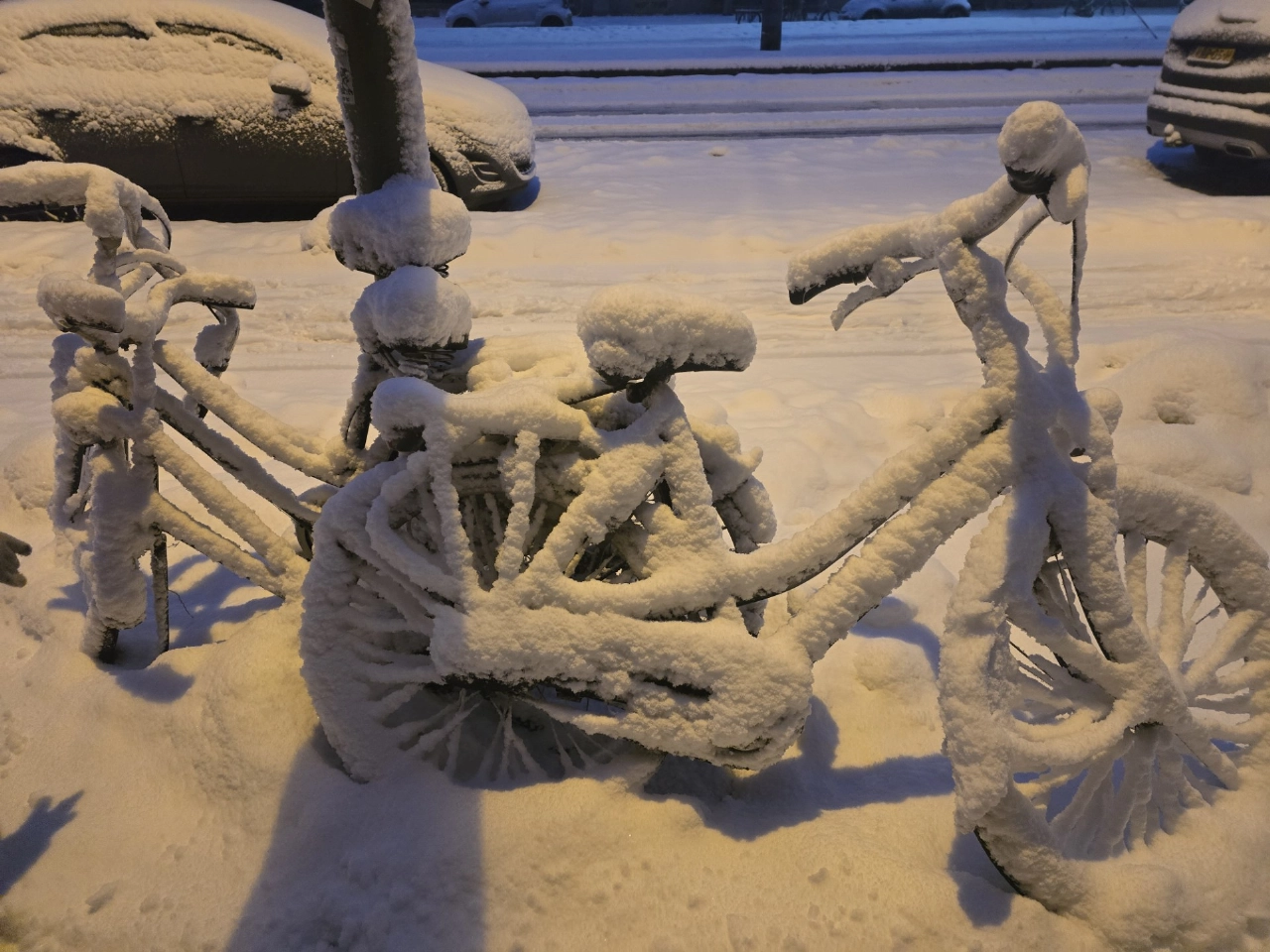 Schiedam mooi in de sneeuw (3)