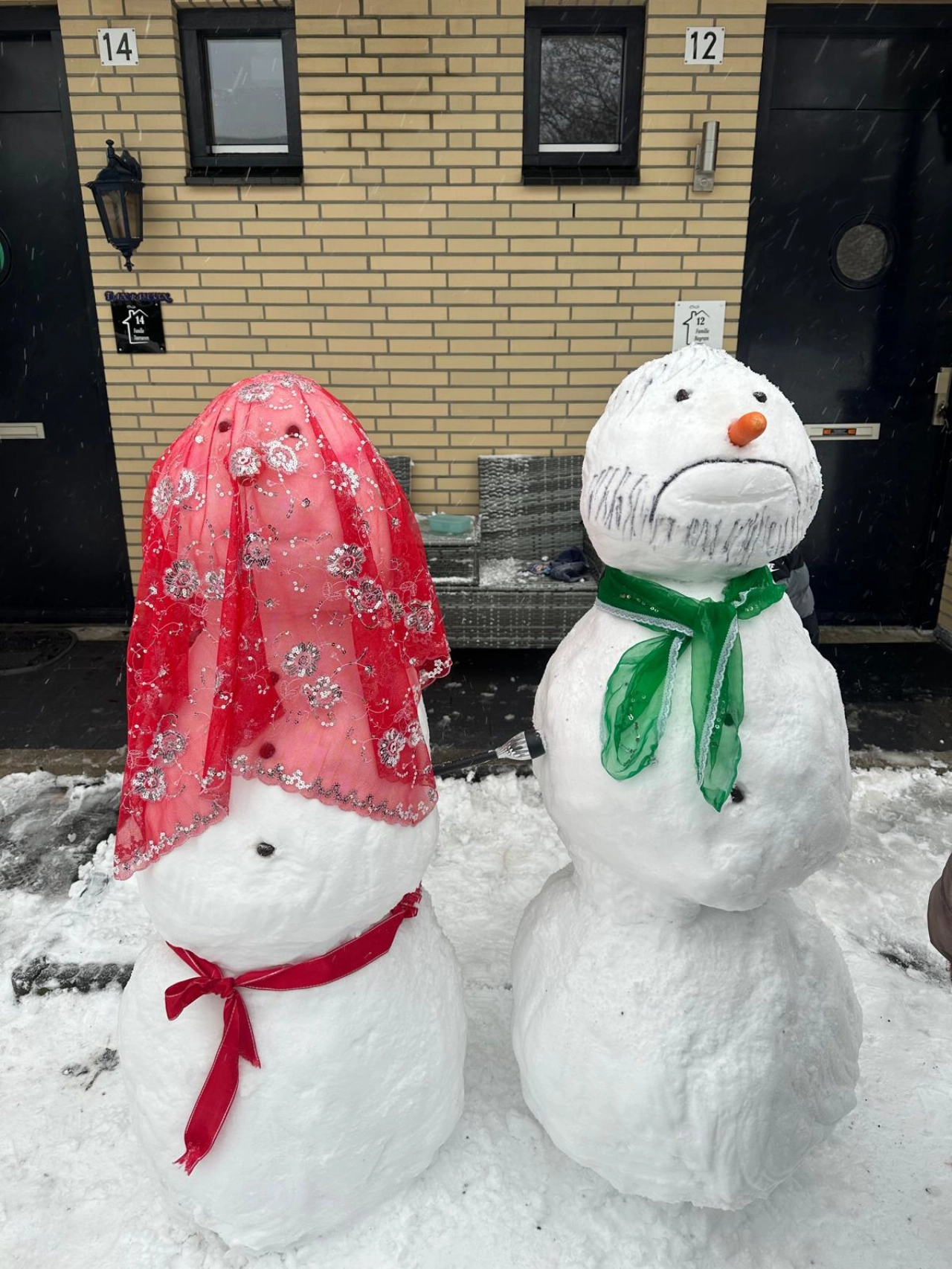 Schiedam mooi in de sneeuw (2)