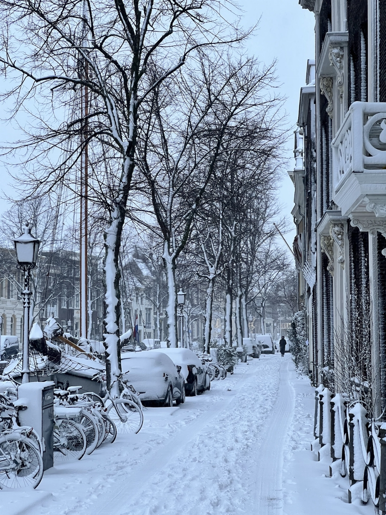 Schiedam mooi in de sneeuw (8)