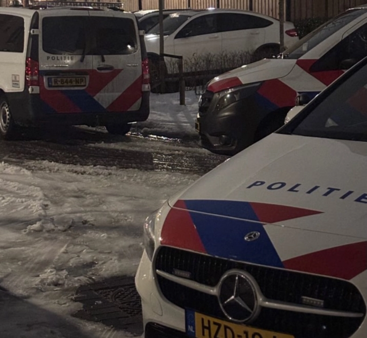 Hondenbezitters springen dier na, het water in