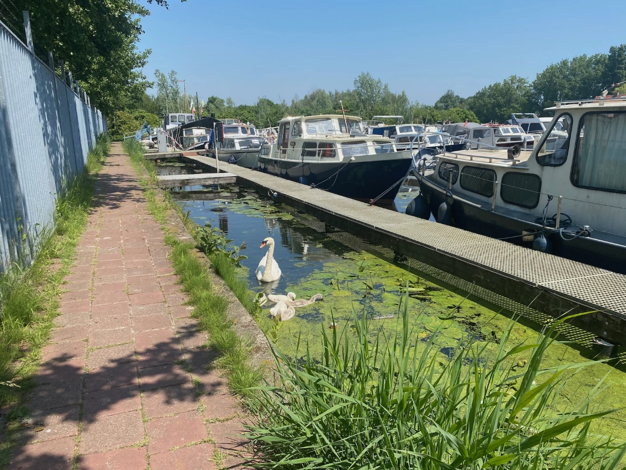 Ieder schip zijn vaste stek