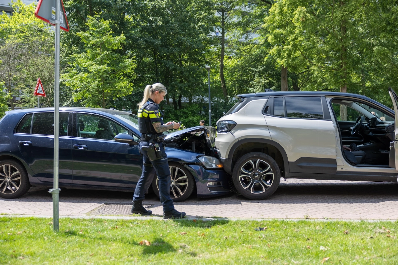 Ganzen gered, auto in de kreukels
