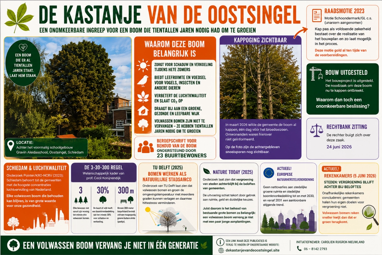 Spanning loopt op over kastanje
