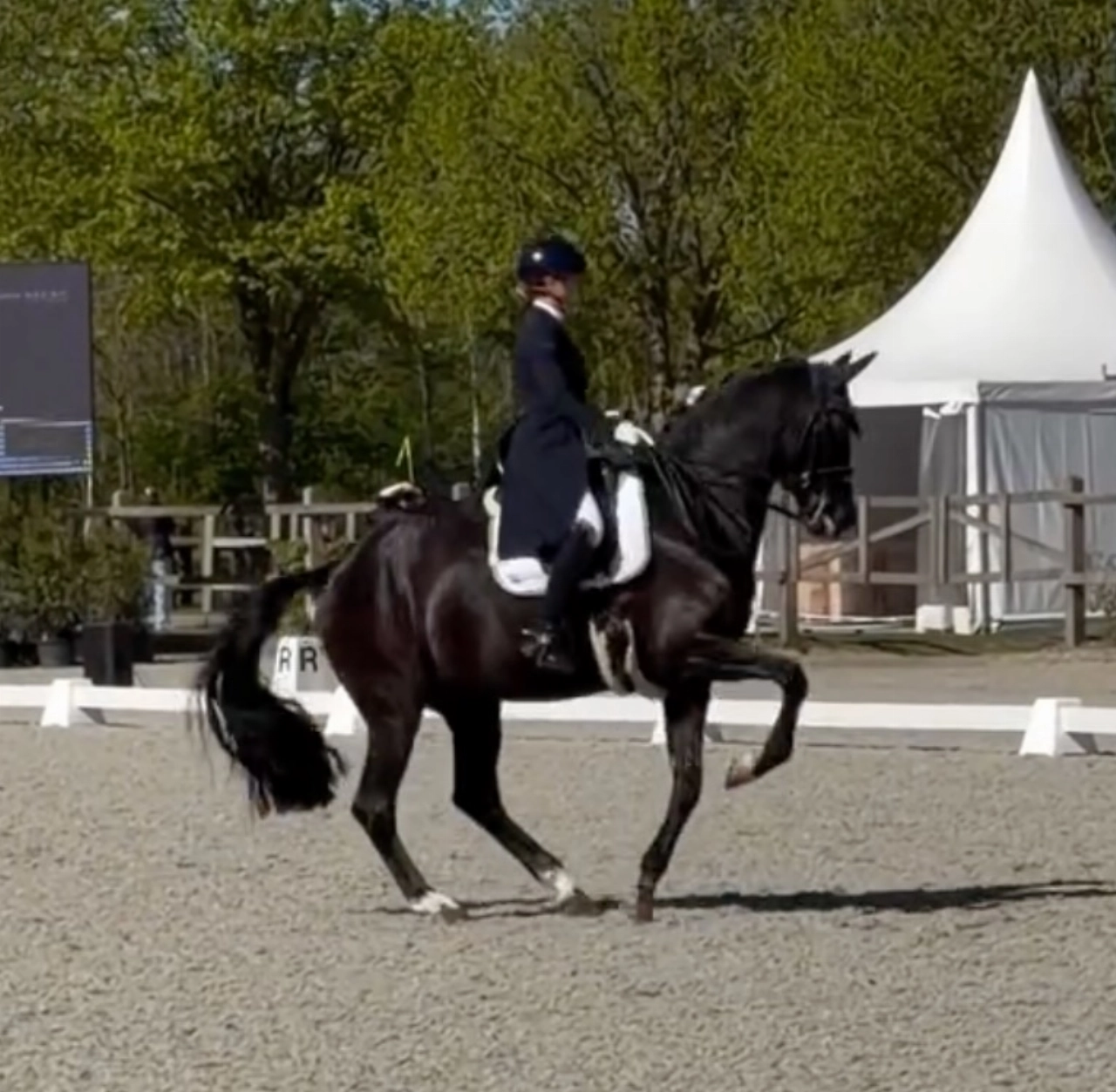 Lynne Maas negende op NK Dressuur