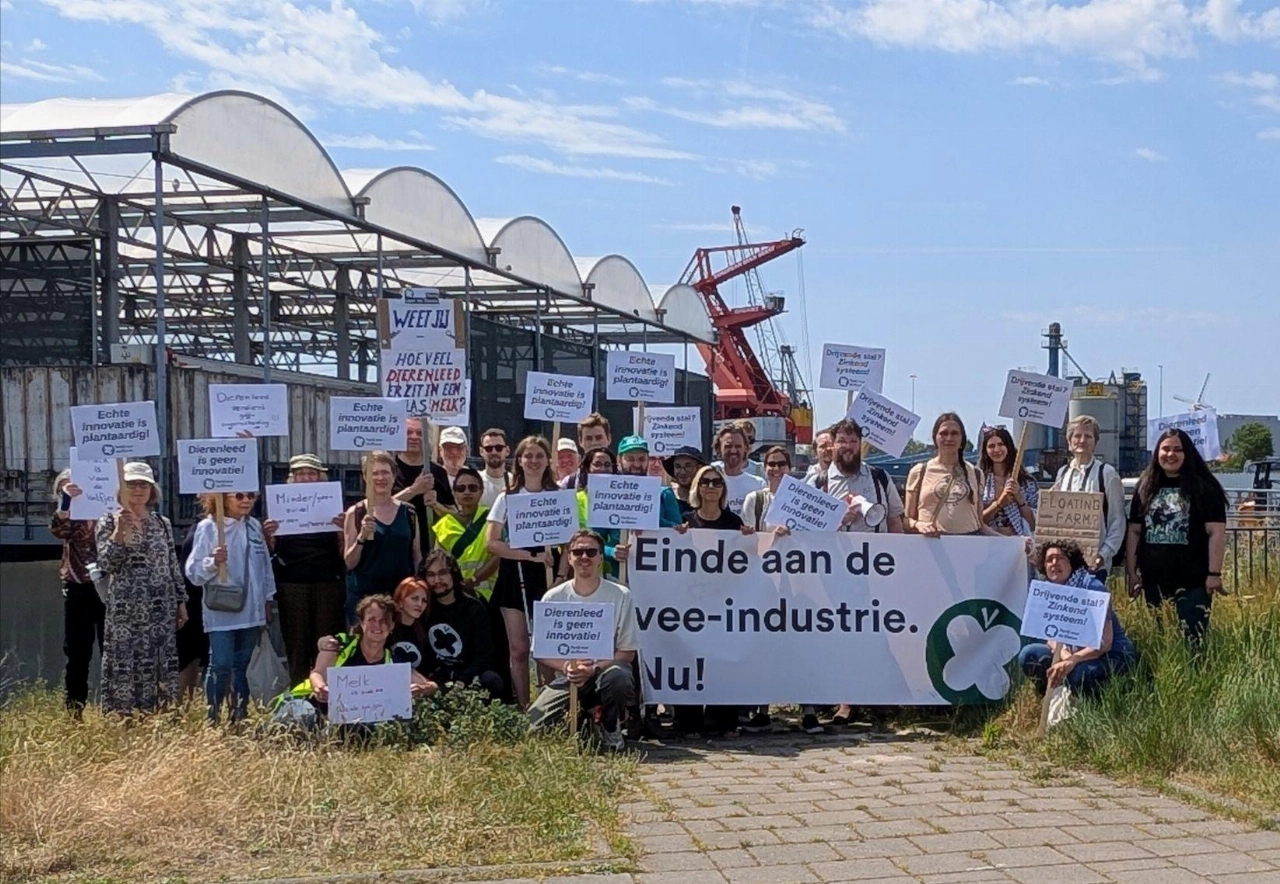 Dierenpartij ziet geen plaats voor Floating Farm