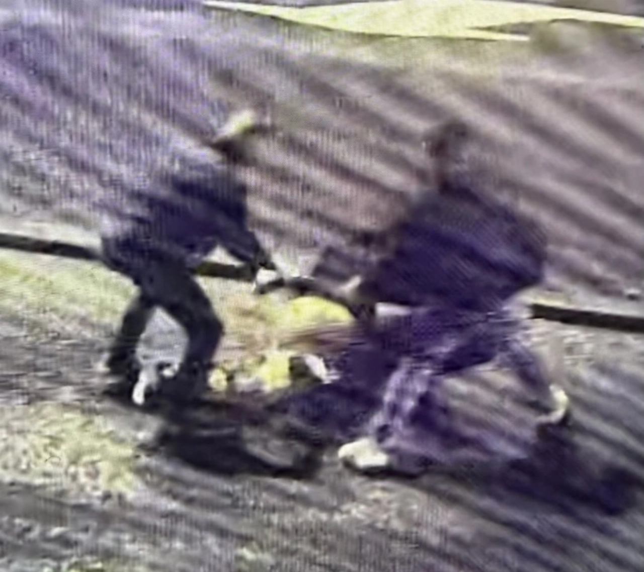Politie bekeurt vijf vechtersbazen