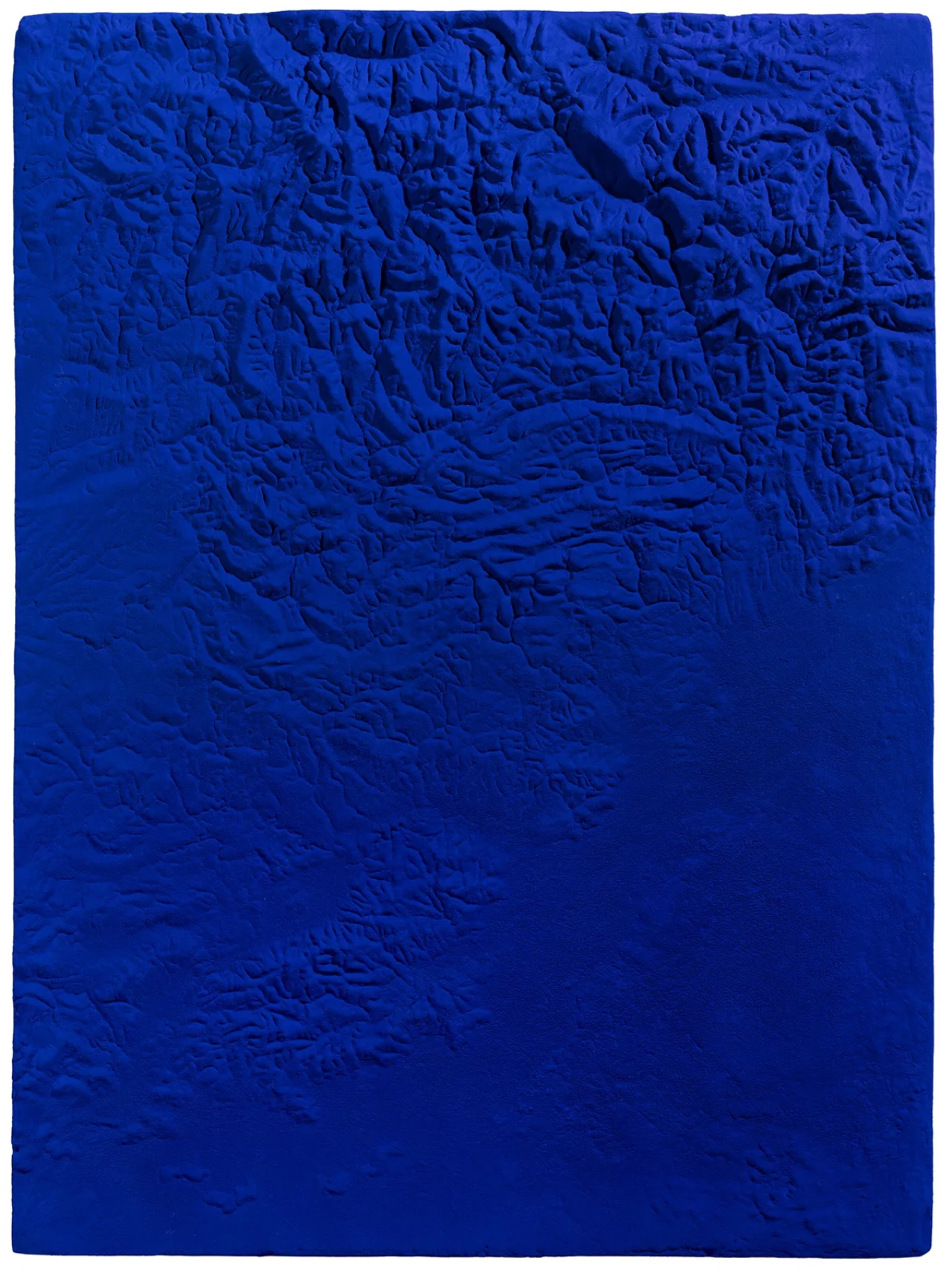 Nu open: Yves Klein en zijn kunstenaarsfamilie