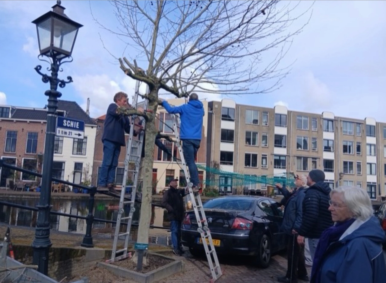Bomenridders vieren verjaardag met bittere pil