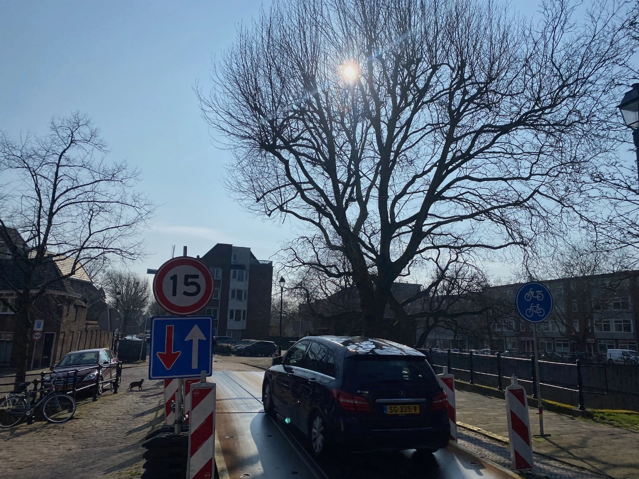 Plataan moet wijken voor restauratie welfbrug