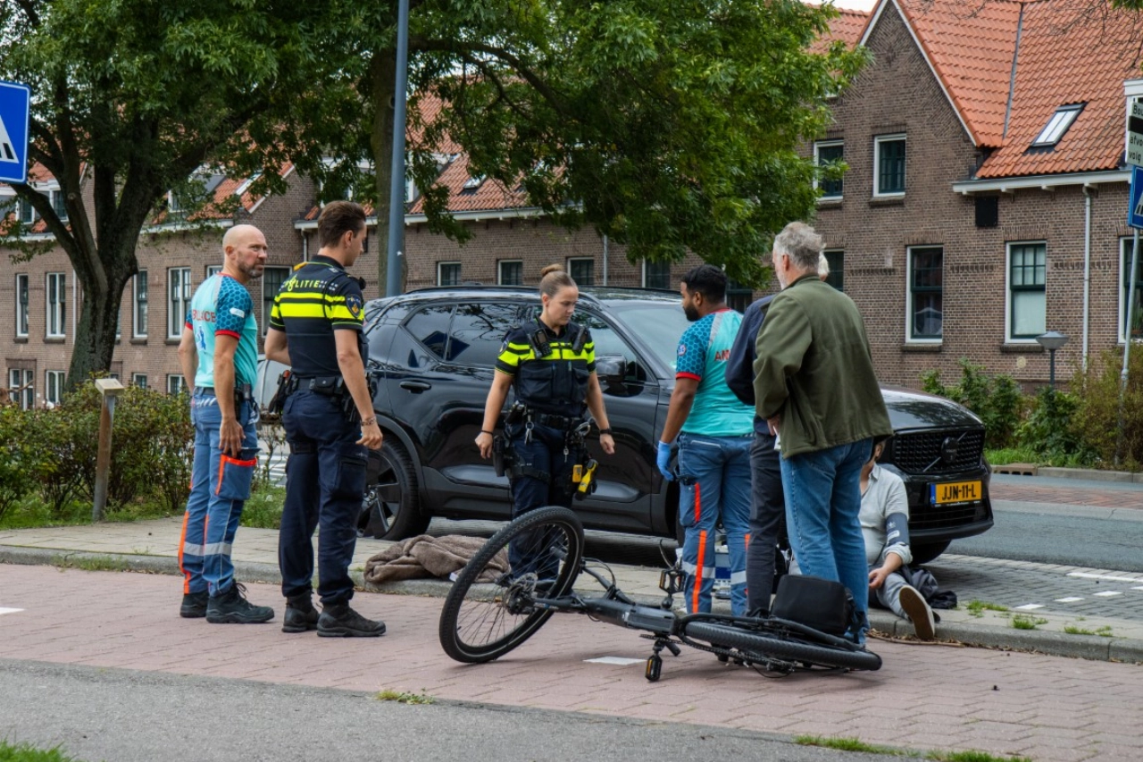 Fietser gewond door afbrekende boomtak op Havendijk in Schiedam