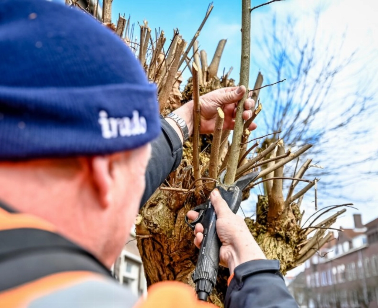 Snoeiroutes bekend
