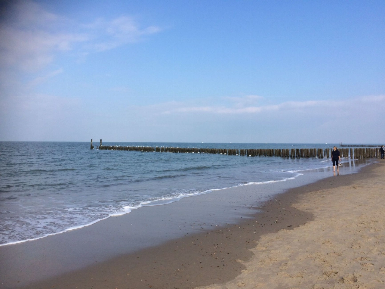 Van deze Schiedammers namen we afscheid in 2025