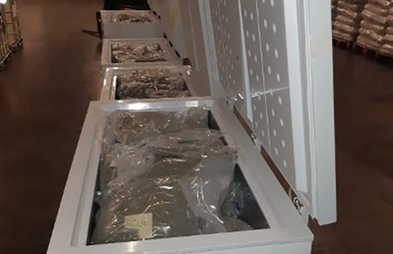 87 kilo hennep aangetroffen in vrieskisten transportbedrijf