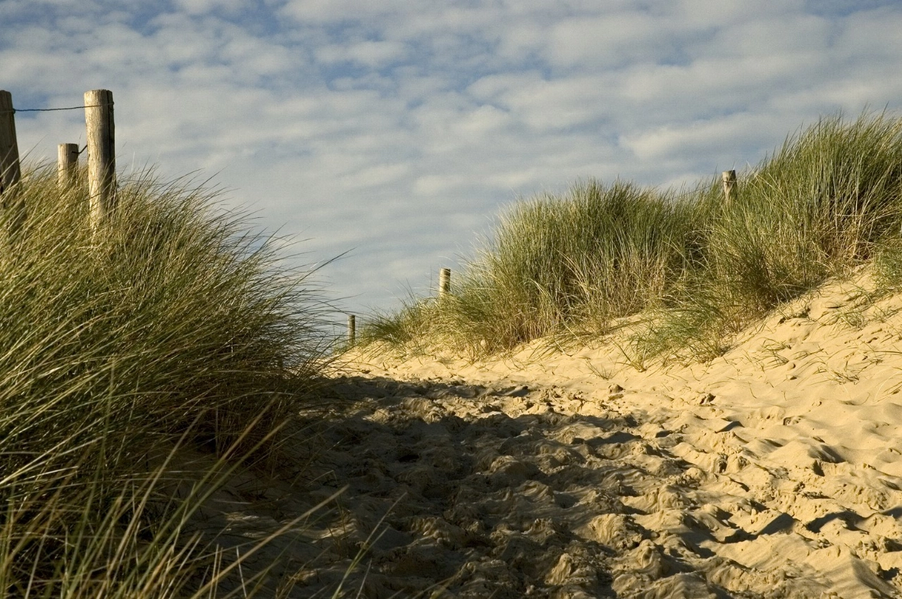 Wandelaar vindt menselijke resten in duinen Oostvoorne